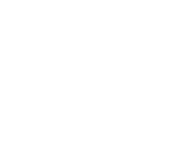 Crossfit Wild Wall